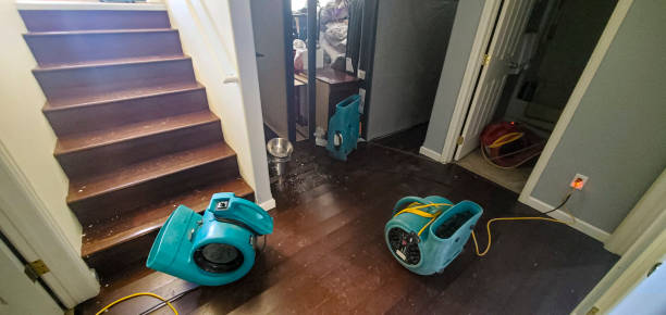 Trusted Altamont, TN Water damage restoration Experts
