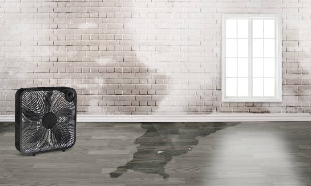 Carpet water damage restoration in Altamont, TN