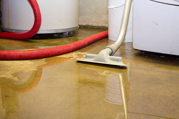 Best Fire Damage Restoration  in Altamont, TN