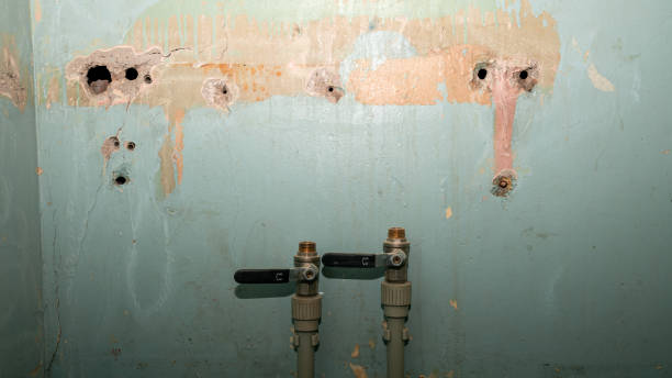 Best Carpet water damage restoration  in Altamont, TN
